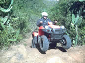 quad bikes
